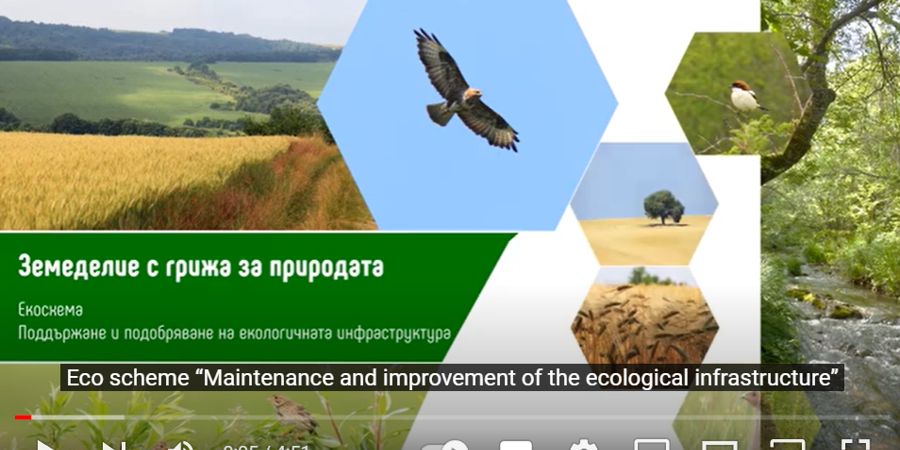 Main image for 'New film from STEP: Green infrastructure'
