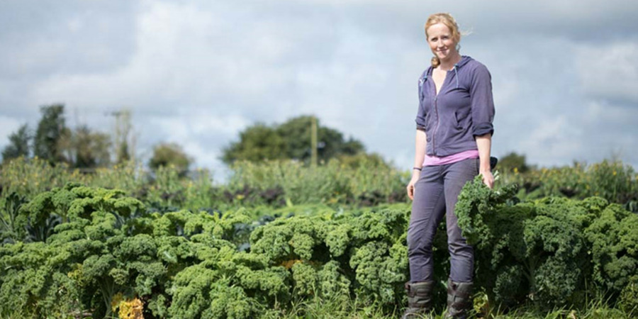 Main image for 'Gender in Agroecology: Structural Barriers and Identified Strategies in the Field 
'