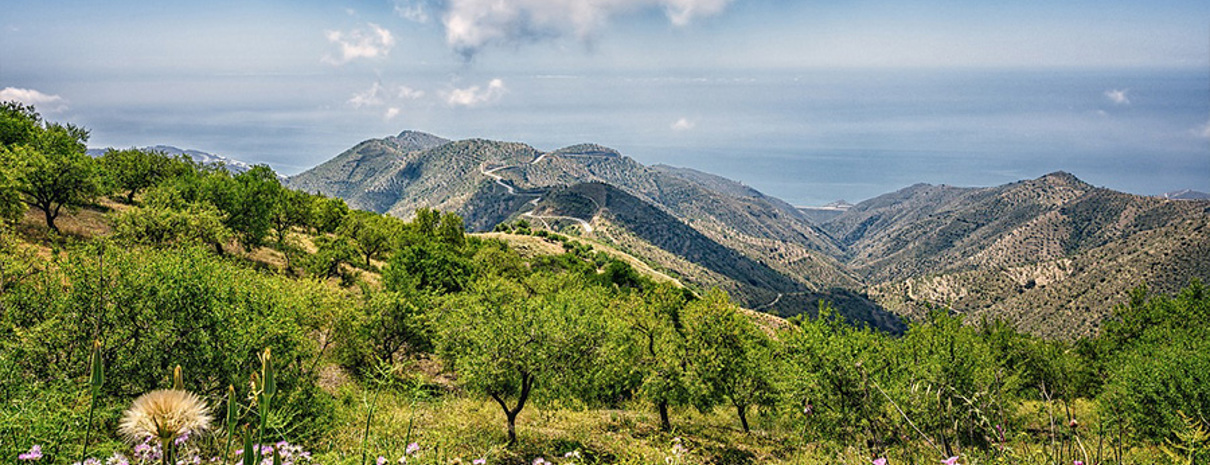 Banner for 'Inspira Territorio - Spain'