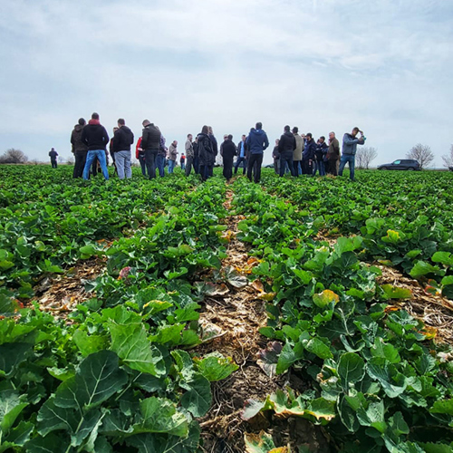 Thumbnail for 'Watch Virtual Roadshow: Cultivating Change – building policy from the ground up' page