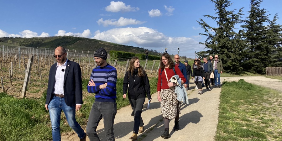 Main image for 'Cover crops for drought resistant soils in Tokaj wine production'