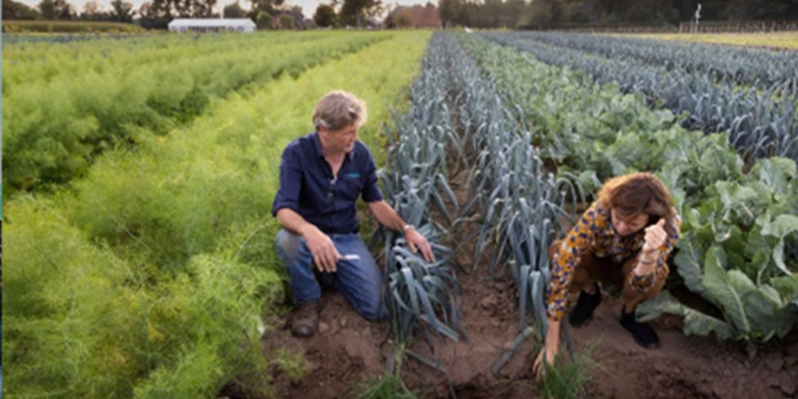Main image for 'Agroecology and ecological intensification: perspectives from Europe and Latin America'