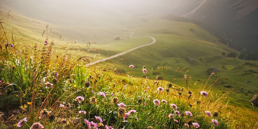 Main image for 'If Organic and Agroecological Farming are the Answer, Why Isn’t Change Happening Faster?'