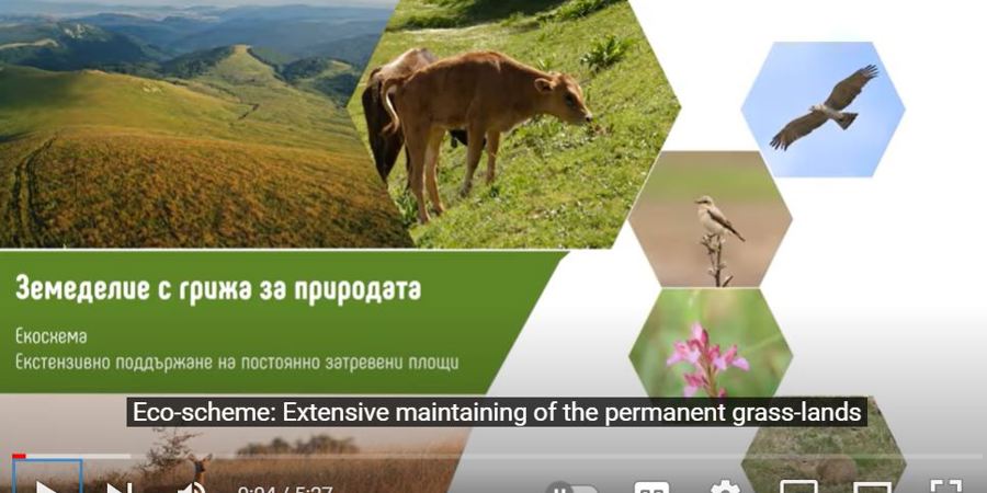 Main image for 'New film: Eco-scheme for extensive maintenance of permanently grassed areas'
