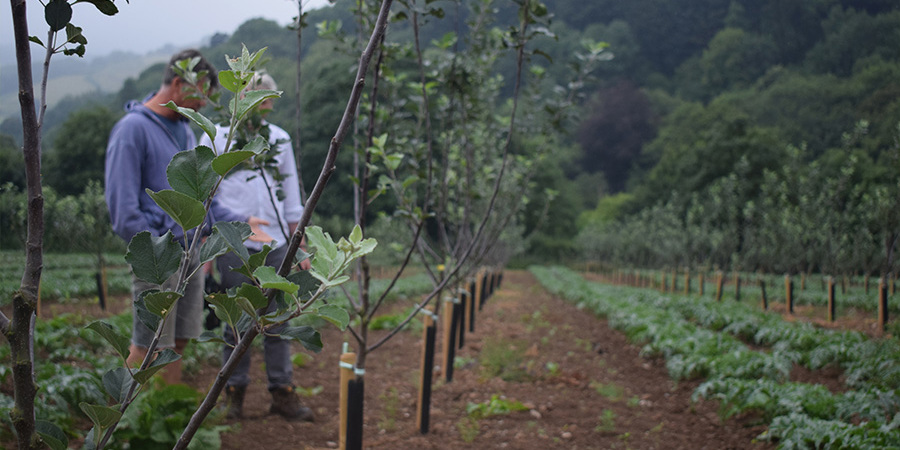 Main image for 'We're Looking for Agroecological Initiatives!'