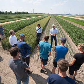Main image for 'Strip-cropping Network - The Netherlands'