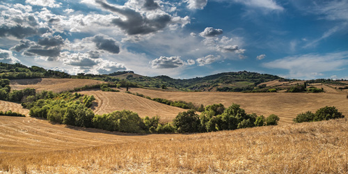 Thumbnail for 'Info Hour on EU Nature Restoration Regulation (NRR) & Common Agricultural Policy (CAP)'