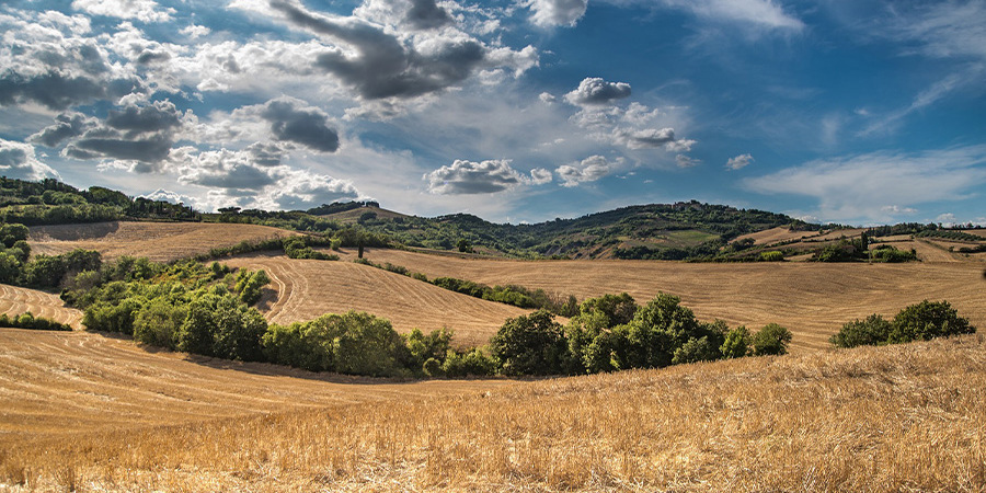 Main image for 'Info Hour on EU Nature Restoration Regulation (NRR) & Common Agricultural Policy (CAP)'