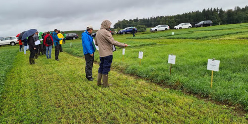 Thumbnail for 'Certified, diverse temporary grassland mixtures - Switzerland'