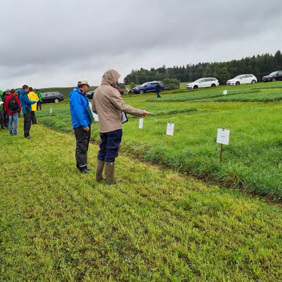 Main image for 'Certified, diverse temporary grassland mixtures - Switzerland'