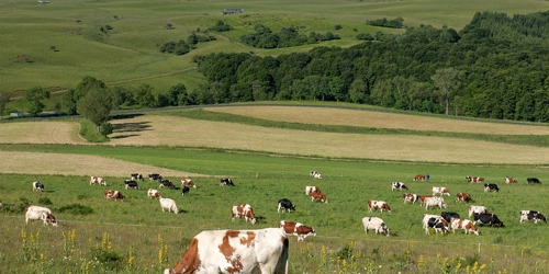 Thumbnail for 'Enhancing Sustainable and Resilient Agroecology: Joint Cluster Projects Conference'