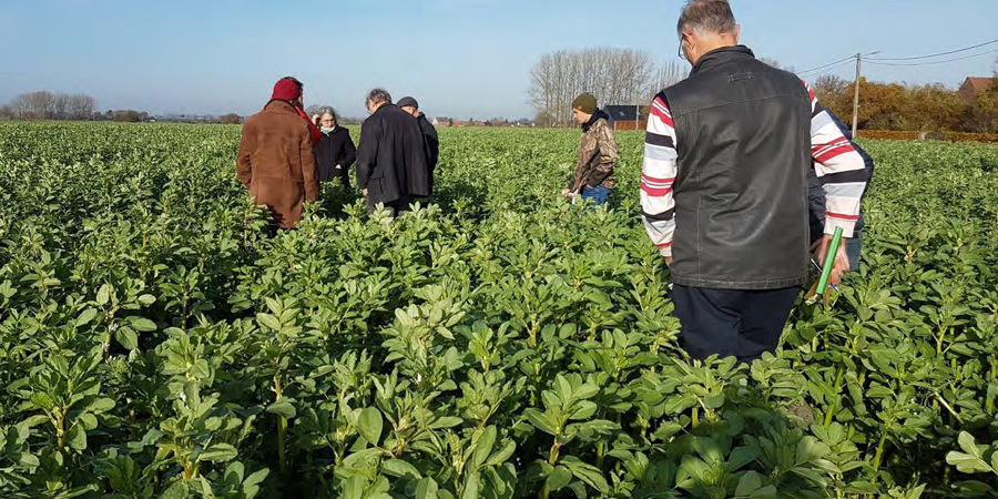 Main image for 'Are you involved with initiative based on the principles of agroecological farming?'